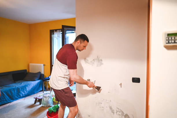 Best Basement Mold Remediation in Moreland, ID